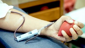 O caminho do sangue: entre a doação e a transfusão 