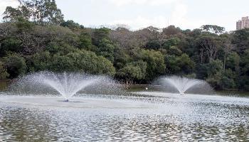 Aeradores preservam fauna aquática em período de estiagem 