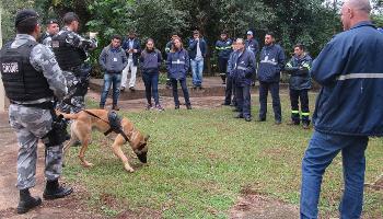 Leituristas da Sanepar sofrem ataques graves de cães Leituristas da Sanepar sofrem ataques graves de cães
