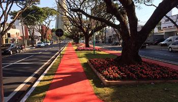Ciclovia de Maringá entre as mais belas do Brasil, segundo site 