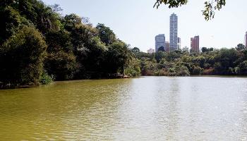 Maringá tem 19 áreas verdes somando 1,8 milhão de metros quadrados. 