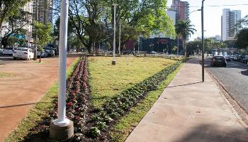 Canteiros são revitalizados contribuindo com paisagismo e segurança viária 