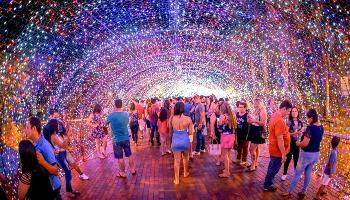 Maringá Encantada 2019: confira novidade prevista para o túnel de luz deste ano 