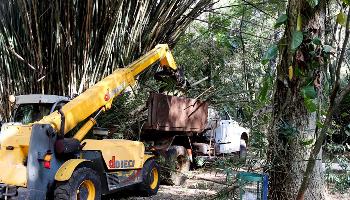 Parque do Ingá passa por manutenções e permanece fechado nesta terça, 27 