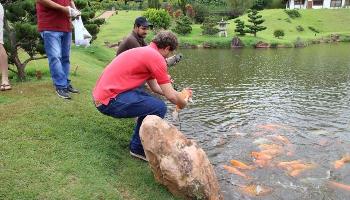 Carpas para o Parque do Japão são reproduzidas pela UEM  