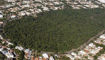 Maringá não possui plano especializado para controle de incêndios florestais 