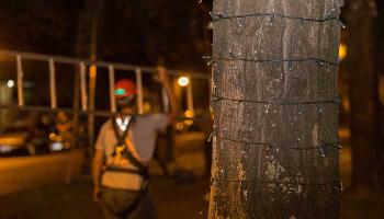 É dado inicio à instalação de luzes natalinas pela cidade É dado inicio à instalação de luzes natalinas pela cidade