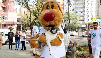Gestão municipal considera Maringá uma cidade 'amiga dos animais' 