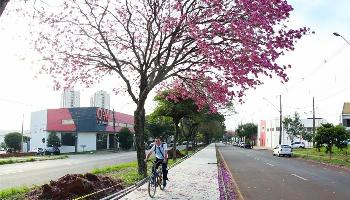 Primavera segue com temperaturas altas e recorrentes chuvas intensas 
