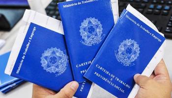 Paraná tem queda na taxa de desemprego de acordo com o IBGE 