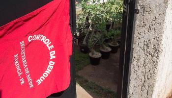 Durante a viagem de Carnaval, mantenha sua casa protegida da dengue Durante a viagem de Carnaval, mantenha sua casa protegida da dengue