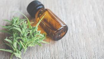 Fabricação e venda de produtos medicinais derivados da maconha entram em vigor 