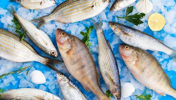 Peixes em Maringá chegam a ter variação de preço de até 160% 