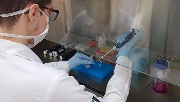 UEM fará exames para identificar COVID-19 UEM fará exames para identificar COVID-19