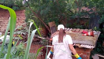 Epidemia de dengue atinge 55% das cidades do Paraná Epidemia de dengue atinge 55% das cidades do Paraná