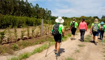Três circuitos do Caminhadas na Natureza estão com inscrições abertas Três circuitos do Caminhadas na Natureza estão com inscrições abertas