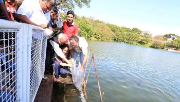 Estudantes soltam peixes em comemoração na Semana da Primavera. 