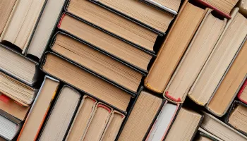 Leituras de verão: confira alguns livros para ler nestas férias 