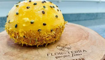Queijo paranaense está entre os nove melhores do mundo 