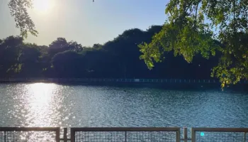 Previsão aponta calor e céu ensolarado para os próximos dias 