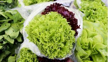 Feira do Produtor Orgânico de Maringá realiza vendas pela internet a partir desta terça-feira (7) Feira do Produtor Orgânico de Maringá realiza vendas pela internet a partir desta terça-feira (7)