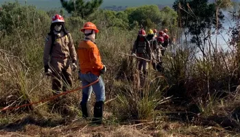 Defesa Civil do Paraná abre inscrições para curso de formação de voluntários; saiba como participar 