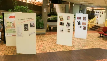 Exposição “Cinema de Papel” aborda obras do cineasta Akira Kurosawa 
