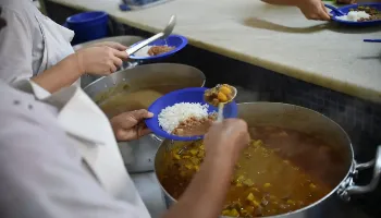 Brasil deixa o Mapa da Fome, de acordo com relatório da ONU Brasil deixa o Mapa da Fome, de acordo com relatório da ONU