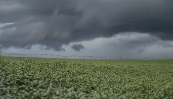 Plano de Ação Climática: paranaenses podem enviar sugestões até 15 de setembro 