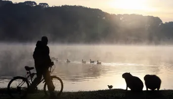 Nova massa de ar polar chega ao Paraná e temperaturas despencam neste final de semana Nova massa de ar polar chega ao Paraná e temperaturas despencam neste final de semana