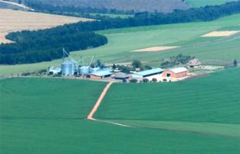 Paraná deve voltar a ser o maior produtor nacional de grãos neste ano Paraná deve voltar a ser o maior produtor nacional de grãos neste ano