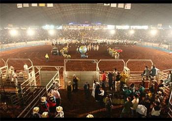 Rodeios começam hoje na Expoingá 