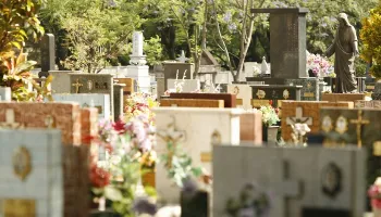 Cemitério Municipal de Maringá suspende as vendas de sepulturas; entenda 