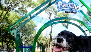 A Prefeitura de Maringá inaugura neste sábado (15) o 'ParCão' com atrações para pets 