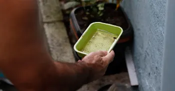El Niño pode influenciar número de casos de dengue no Brasil, alerta Fiocruz 