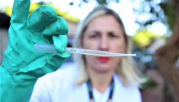 Dengue: índice de infestação predial em Maringá é de risco médio 