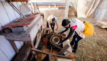 Equipes da Prefeitura de Maringá realizam mutirão de limpeza nos bairros da cidade 