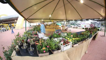 Feira da Agroindústria fica instalada ao lado do Terminal Urbano de Maringá até o fim de dezembro Feira da Agroindústria fica instalada ao lado do Terminal Urbano de Maringá até o fim de dezembro