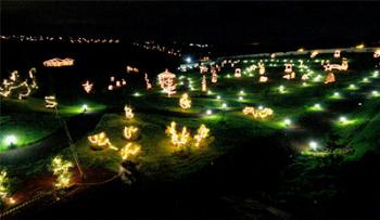 Parque do Japão terá queima de fogos, happy hour, decoração e iluminação natalina 