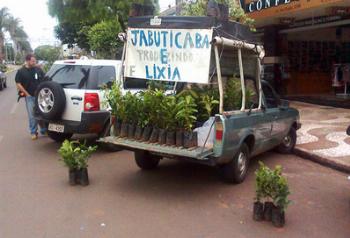 Venda ilegal de mudas pode causar prejuízo à agricultura Venda ilegal de mudas pode causar prejuízo à agricultura