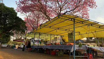 Maringá tem nova feira livre toda segunda-feira das 16 às 21 horas no Jardim Internorte 