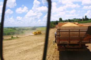 Paraná mantém a liderança nacional na produção de grãos Paraná mantém a liderança nacional na produção de grãos