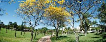 Semana Ambiental da UEM começa com uma "bicicletada" e um abraço no Parque do Ingá 