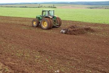 Período será proibido o plantio ou a manutenção de plantas vivas de soja no Paraná. Período será proibido o plantio ou a manutenção de plantas vivas de soja no Paraná.