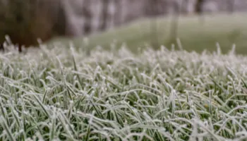 Inmet emite alerta de geada para regiões do Paraná; saiba quais Inmet emite alerta de geada para regiões do Paraná; saiba quais