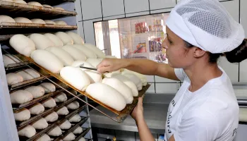 Prefeitura de Marialva abre inscrições para curso de panificação; saiba mais Prefeitura de Marialva abre inscrições para curso de panificação; saiba mais