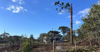 Tornado atingiu cidade nos Campos Gerais do Paraná; ventos chegaram a 200 km/h 