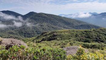 Parques Estaduais do Paraná reabrem neste sábado (15), com restrições 
