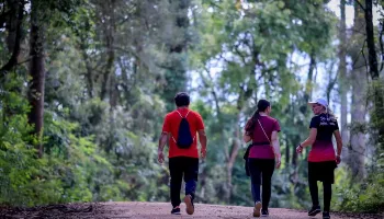 Confira a programação de outubro das Caminhadas no Paraná 