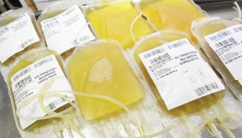 Hemocentro de Maringá inicia coleta de plasma para uso experimental no tratamento de Covid-19 